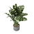 Playfully Green: Indoor Plants Collection 3D model small image 6