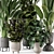 Modern Indoor Plants in Ferm Living Bau Pot - Set of 2 3D model small image 6