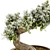  Exquisite Bonsai Tree - 2015 Edition 3D model small image 4