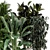 Ferm Living Bau Pot Large Indoor Plants 3D model small image 5