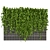 Fitowall Leaf Ivy - Collection Plant Vol 316 3D model small image 2