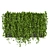 Fitowall Leaf Ivy - Collection Plant Vol 316 3D model small image 5