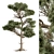 Lush Acacia Tree Set 3D model small image 1