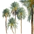 Lush Date Palm Trees: Vray & Corona 3D model small image 2