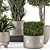 Rustic Concrete Pot Set with Indoor Plants 3D model small image 4