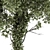 Green Maple with Ivy Trunk - Set 62 3D model small image 2