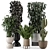 Modern Indoor Plants in Ferm Living Bau Pot Set 3D model small image 1