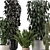 Modern Indoor Plants in Ferm Living Bau Pot Set 3D model small image 6