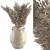 Elegant Pampas Pot - Trendy Dried Plant 3D model small image 1