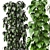 Greenery Haven - 3D Indoor Plants 3D model small image 4
