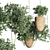 Indoor Plant Collection - 55 Varieties 3D model small image 2