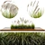 Stunning Outdoor Plant Set 3D model small image 1