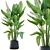 Lush Green Indoor Plant Set 3D model small image 1