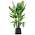 Lush Green Indoor Plant Set 3D model small image 2