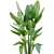 Lush Green Indoor Plant Set 3D model small image 3