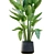 Lush Green Indoor Plant Set 3D model small image 4