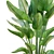 Lush Green Indoor Plant Set 3D model small image 5