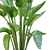 Lush Green Indoor Plant Set 3D model small image 6