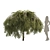 Green Willow Tree: Detailed & Realistic 3D model small image 1