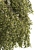 Green Willow Tree: Detailed & Realistic 3D model small image 2