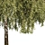Green Willow Tree: Detailed & Realistic 3D model small image 3