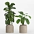 Pristine Indoor Oasis: Plant Set 018 3D model small image 4