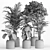 Pristine Indoor Oasis: Plant Set 018 3D model small image 5