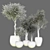 Indoor Plant Collection: Vol. 40 3D model small image 4