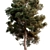 Brutia Pine 3D Model: High Detail 3D model small image 2