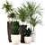 Lush Indoor Oasis: 10 Dracaena Set 3D model small image 1