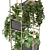 Green Oasis - Indoor Plants Collection 3D model small image 6