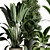 196 Plant Collection: Ficus, Rubber Palm, Ravenala, Bamboo in Concrete Vase 3D model small image 2