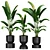 Premium Plant Collection 3D model small image 1