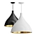 Elegant Swell Pendant Light 3D model small image 1