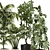 Botanical Bliss: Indoor Plant Set 20 3D model small image 4