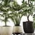 Botanical Bliss: Indoor Plant Set 20 3D model small image 6