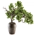 365 Days of Serene Beauty: Old Bonsai in Pot 3D model small image 1