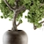 365 Days of Serene Beauty: Old Bonsai in Pot 3D model small image 2