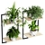 Indoor Plant Collection - 56 Varieties 3D model small image 1
