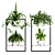 Indoor Plant Collection - 56 Varieties 3D model small image 2