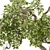 Zen Oasis: Bonsai Plant Set 3D model small image 3