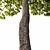 2014 Landscape Tree Sculpture 3D model small image 3