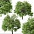 Beautiful Butternut Tree Set (2 Trees) 3D model small image 5