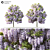 2014 Landscape Tree: 8m Height, Corona Render 3D model small image 2