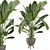 Rusty Concrete Pot Indoor Plants Set 3D model small image 1