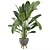 Rusty Concrete Pot Indoor Plants Set 3D model small image 6