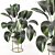 Nature's Haven Indoor Plant Set 3D model small image 1