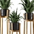 Rustic Indoor Plants in Concrete Pot - Set 535 3D model small image 5