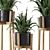 Rustic Indoor Plants in Concrete Pot - Set 535 3D model small image 6