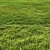 Versatile Grass Pack 3D model small image 3